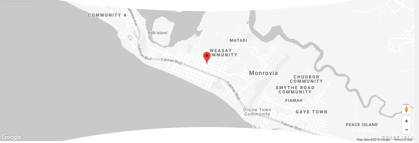 drone map